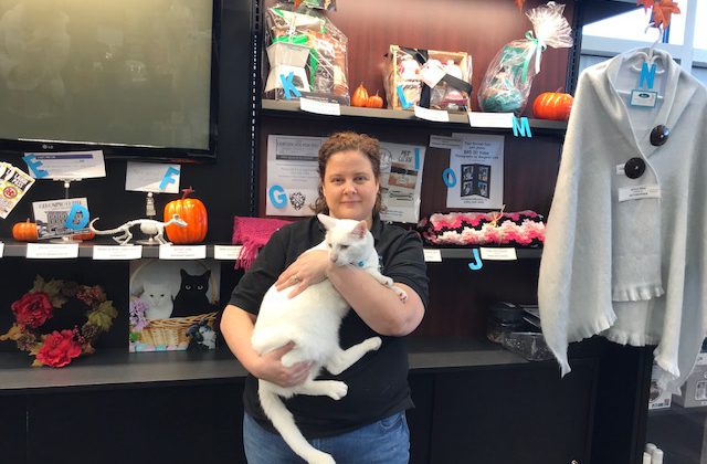 Pet Valu raffling off items to raise money for two local cat rescues