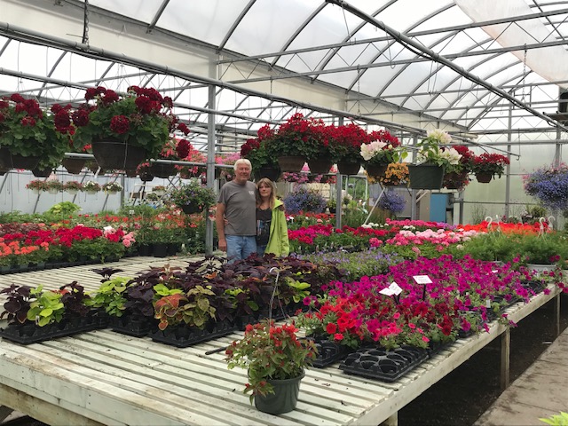 Final season for Pioneer Nursery - My Kemptville Now