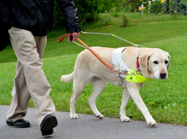September motorcycle ride to raise money for Canadian Guide Dogs for the Blind